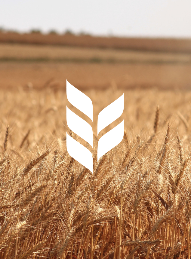 iGrain